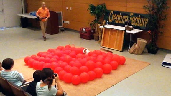 Video: Twinkie, der Jack Russel Terrier lässt Luftballons zerplatzen