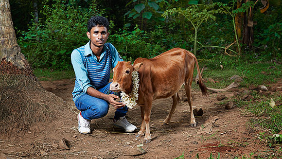 Manikyam – die kleinste Kuh der Welt